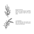 Eucalyptus + Lavender - Signature Soy Candle