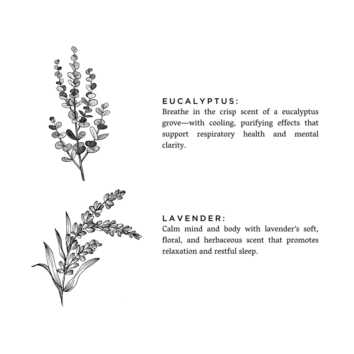 Eucalyptus + Lavender Candle