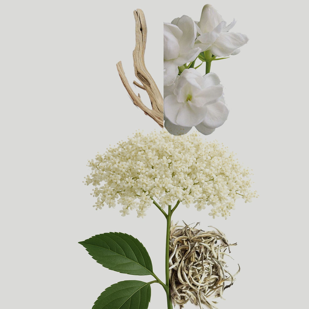 Elderflower Aroma Oil