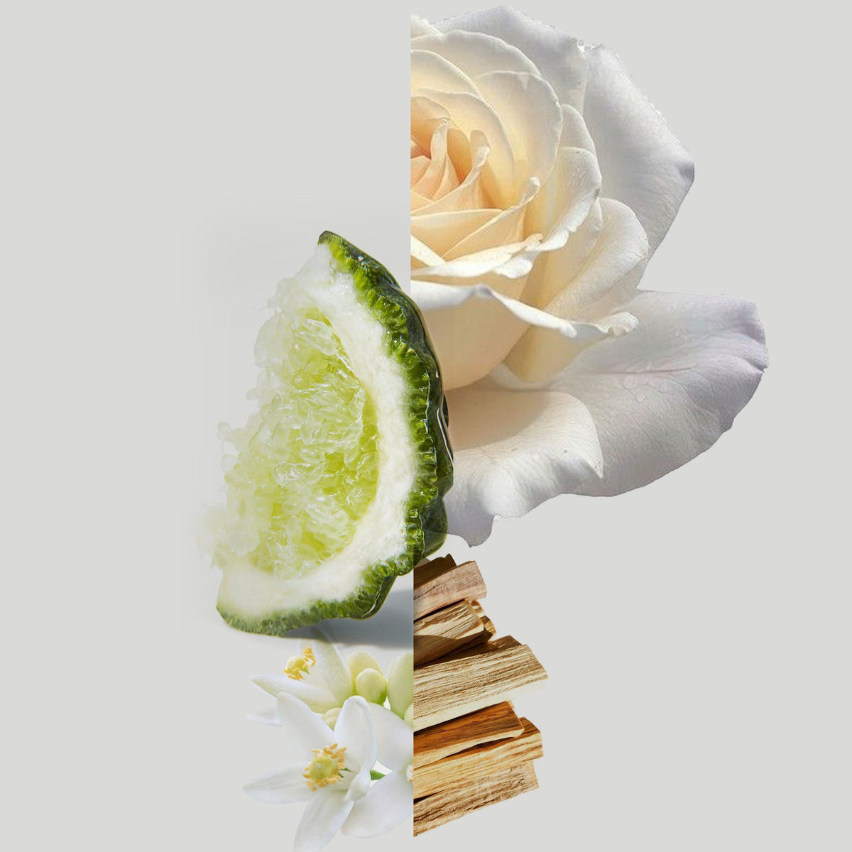 Bliss Aroma Oil 30ml Bottle