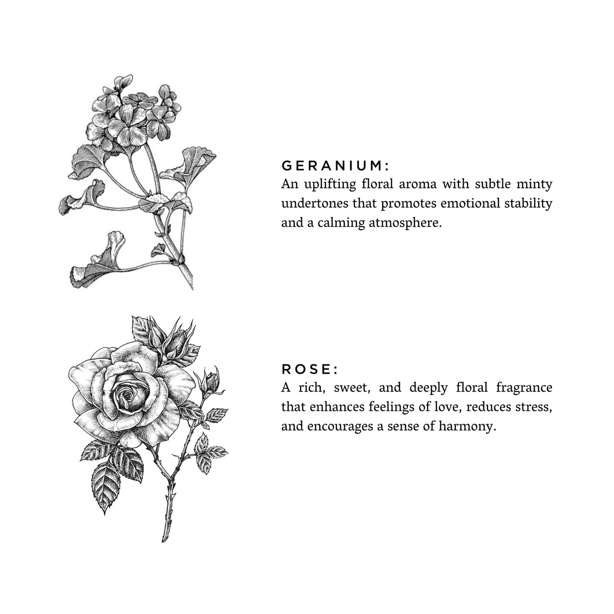 Geranium + Rose Candle