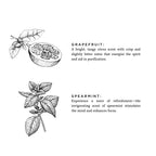 Linen Spray - Grapefruit + Spearmint
