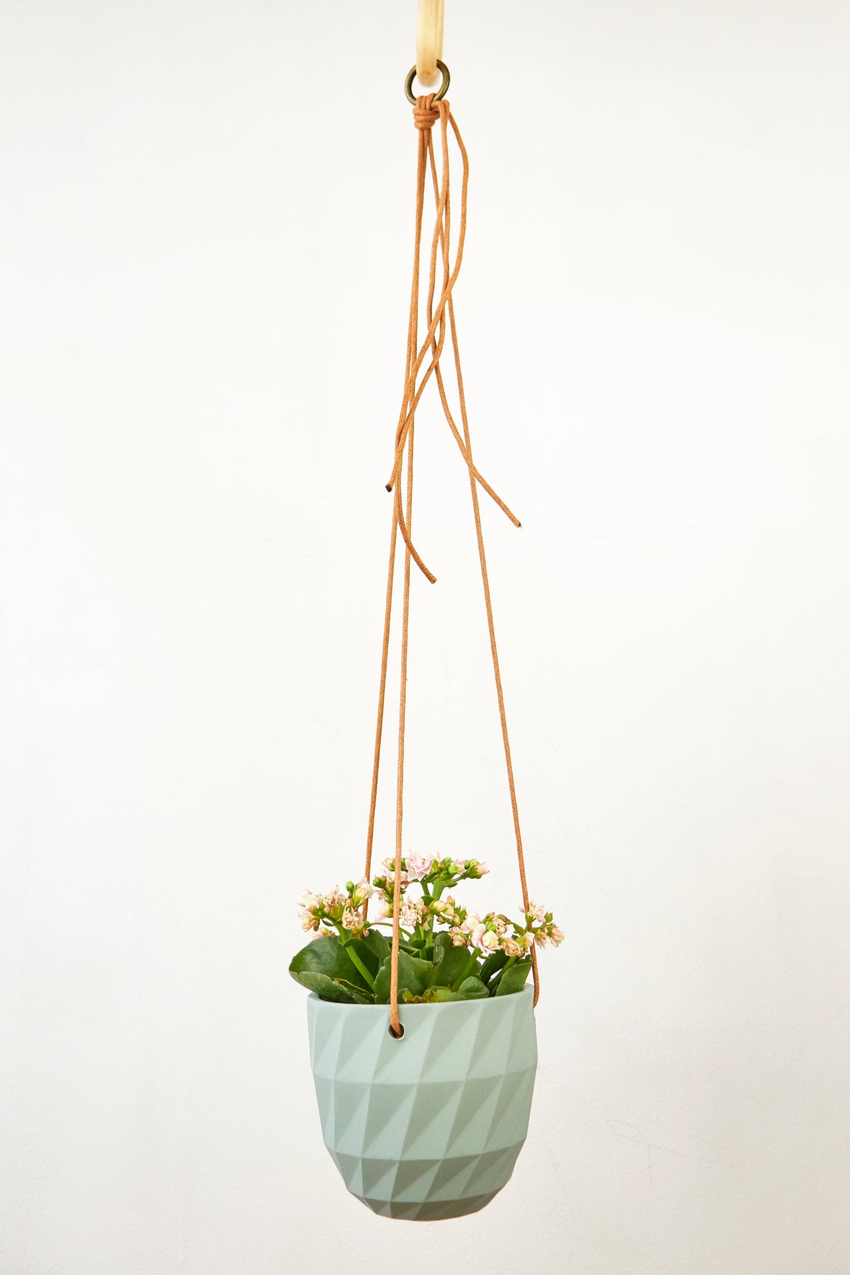 Virago Modern Hanging Planter - Grid — Select Your Color