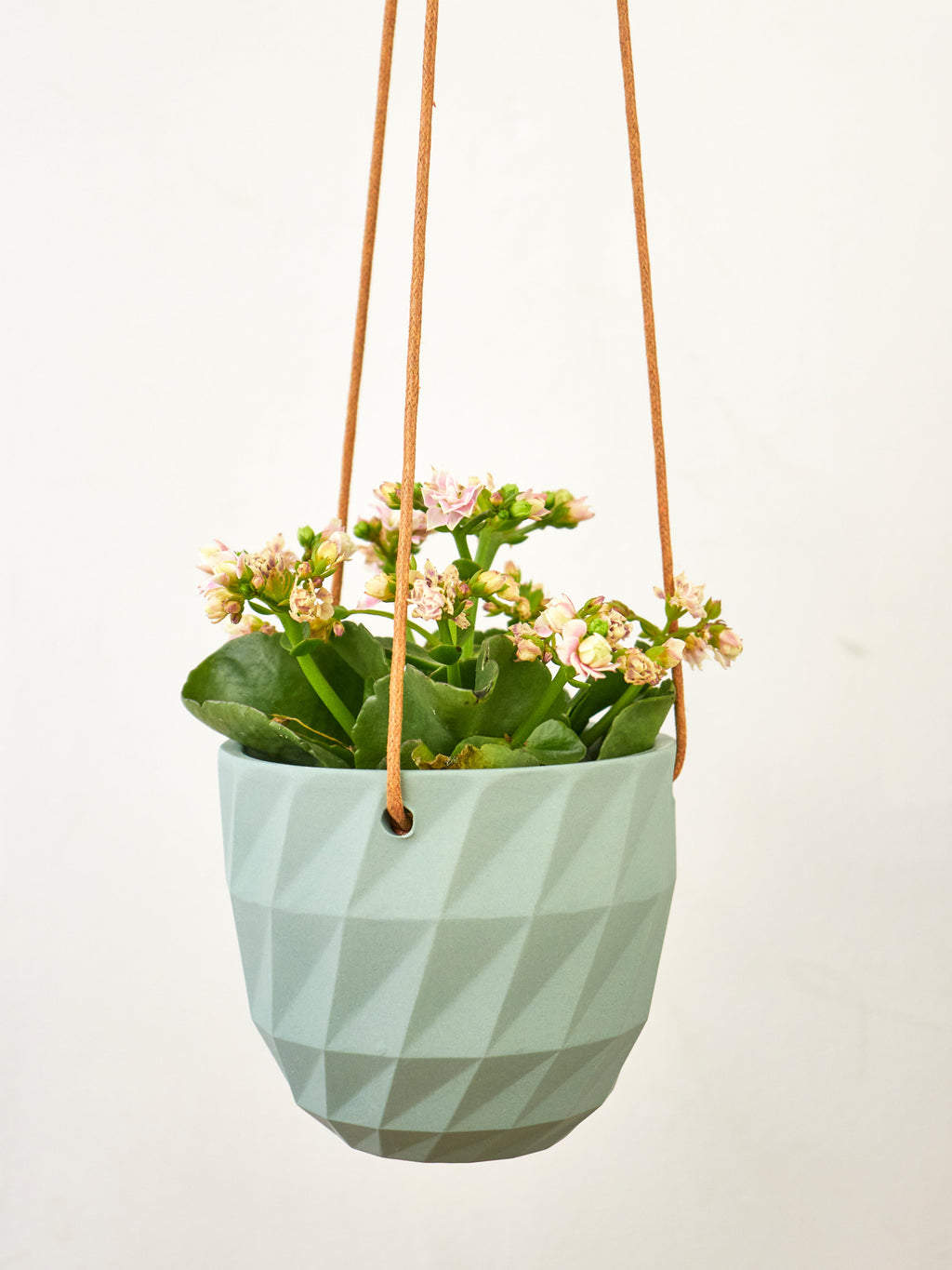 Virago Modern Hanging Planter - Grid — Select Your Color