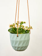 Virago Modern Hanging Planter - Grid — Select Your Color