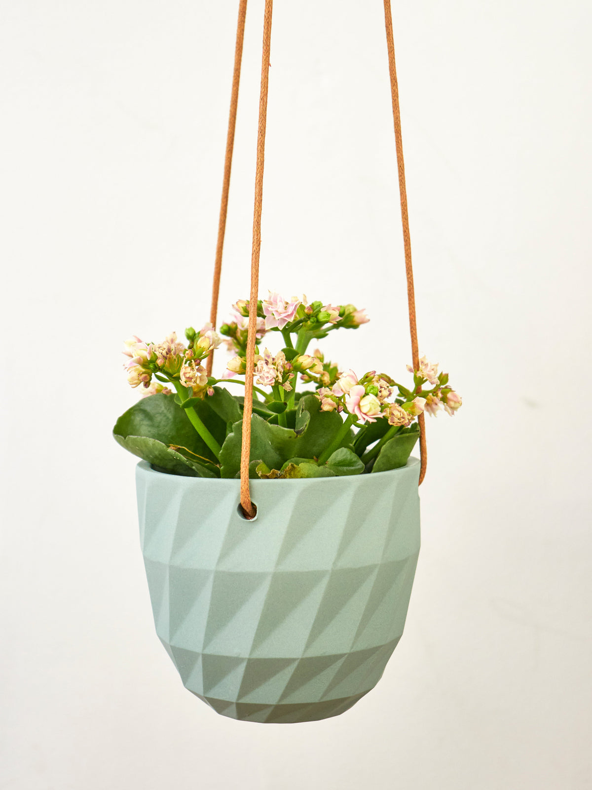 Virago Modern Hanging Planter - Grid — Select Your Color