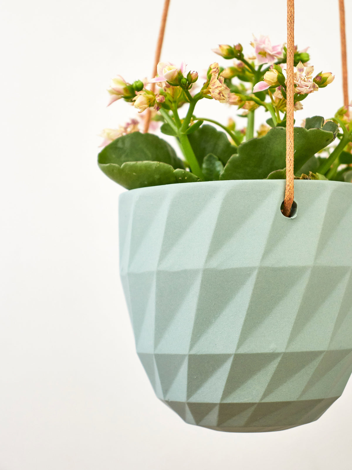 Virago Modern Hanging Planter - Grid — Select Your Color