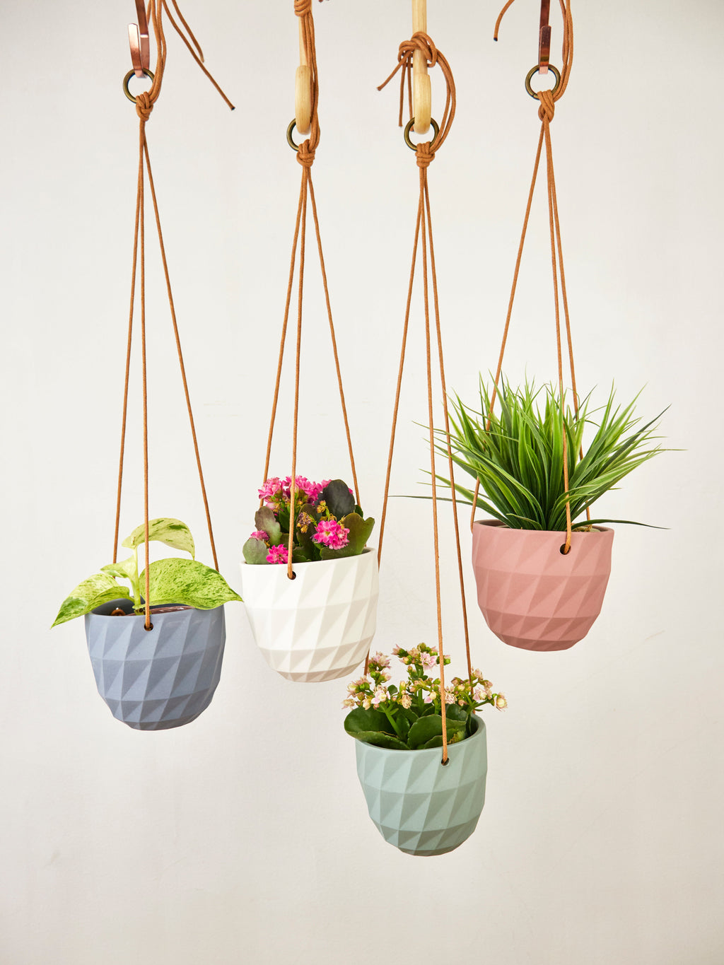 Virago Modern Hanging Planter - Grid — Select Your Color