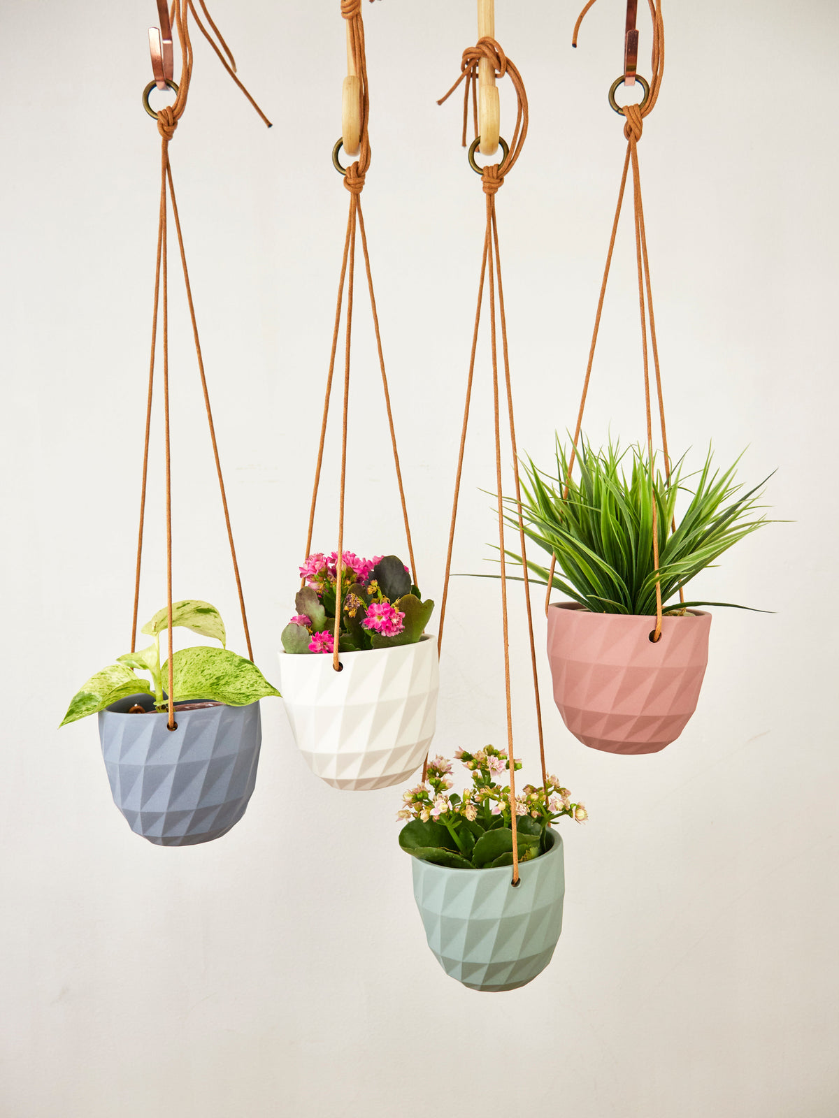 Virago Modern Hanging Planter - Grid — Select Your Color