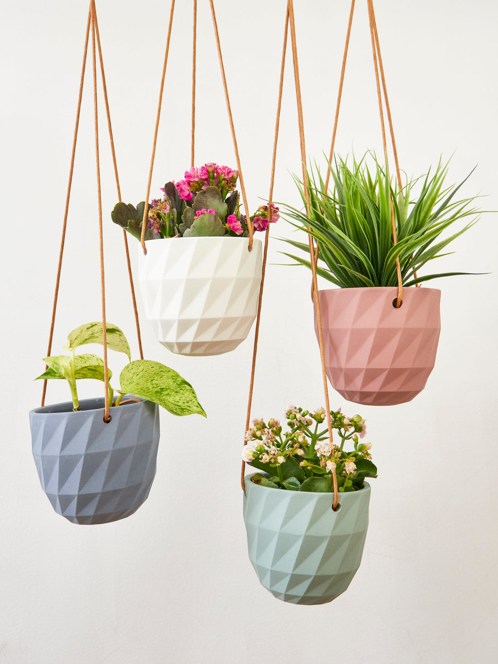 Virago Modern Hanging Planter - Grid — Select Your Color