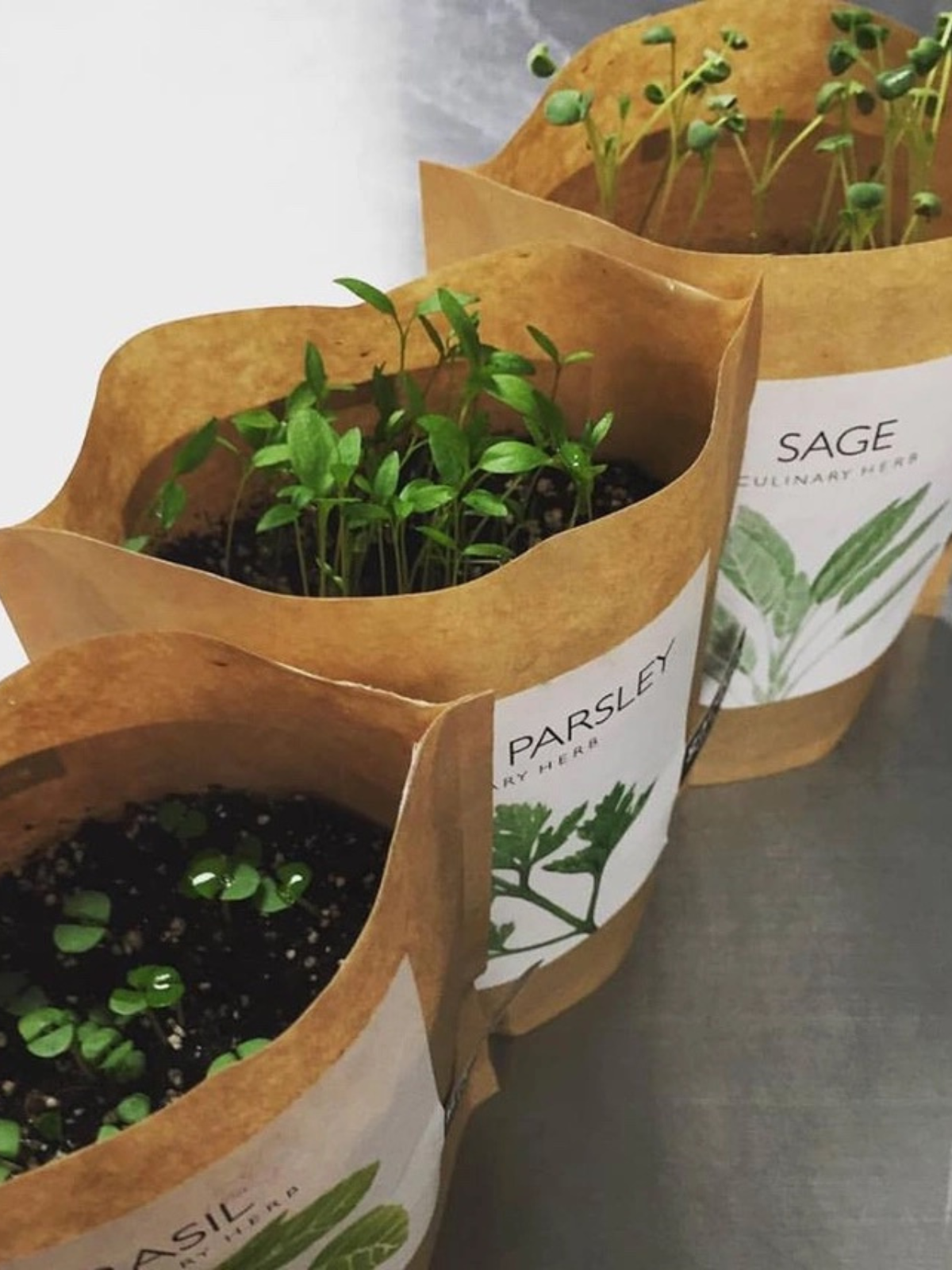 Garden in a Bag - Herbs — Select Your Herb