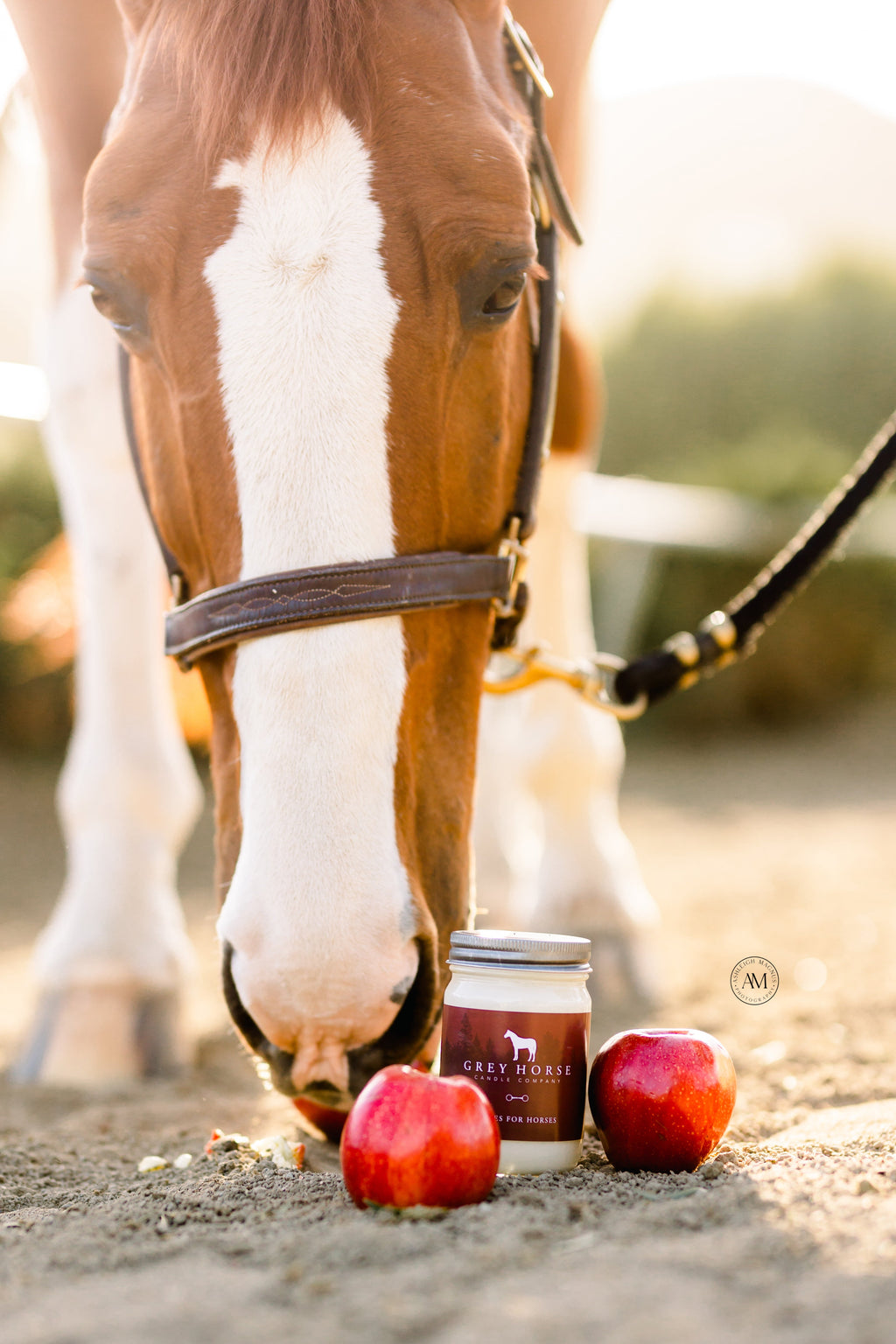 Apples For Horses Signature Jar Candle
