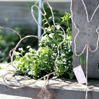 LED Light Up Spring & Easter Silhouette Decor — Select Your Color & Shape