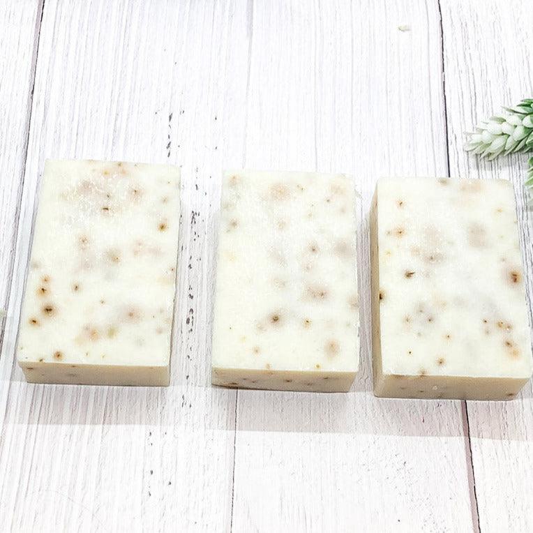 Spearmint Basil Soap Scrub Bar