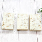 Spearmint Basil Soap Scrub Bar