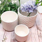 Handmade Cane Webbing Pattern Ceramic Planter — Select Your Size