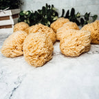 Authentic Dead Sea Sponge