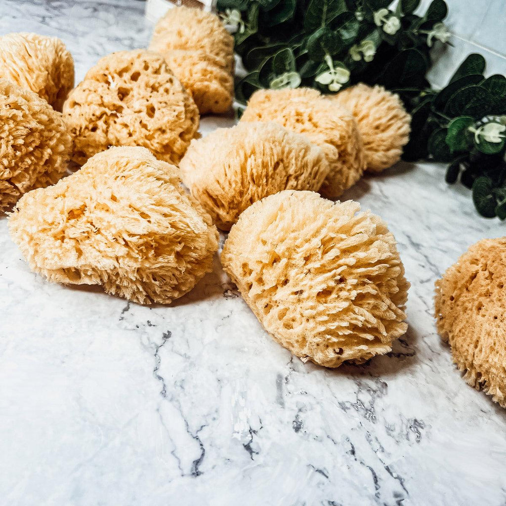 Authentic Dead Sea Sponge