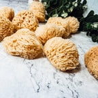 Authentic Dead Sea Sponge