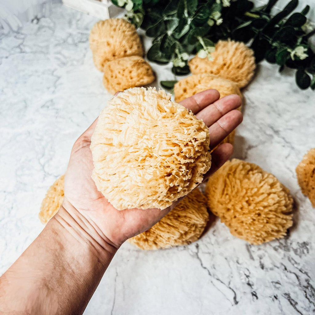 Authentic Dead Sea Sponge