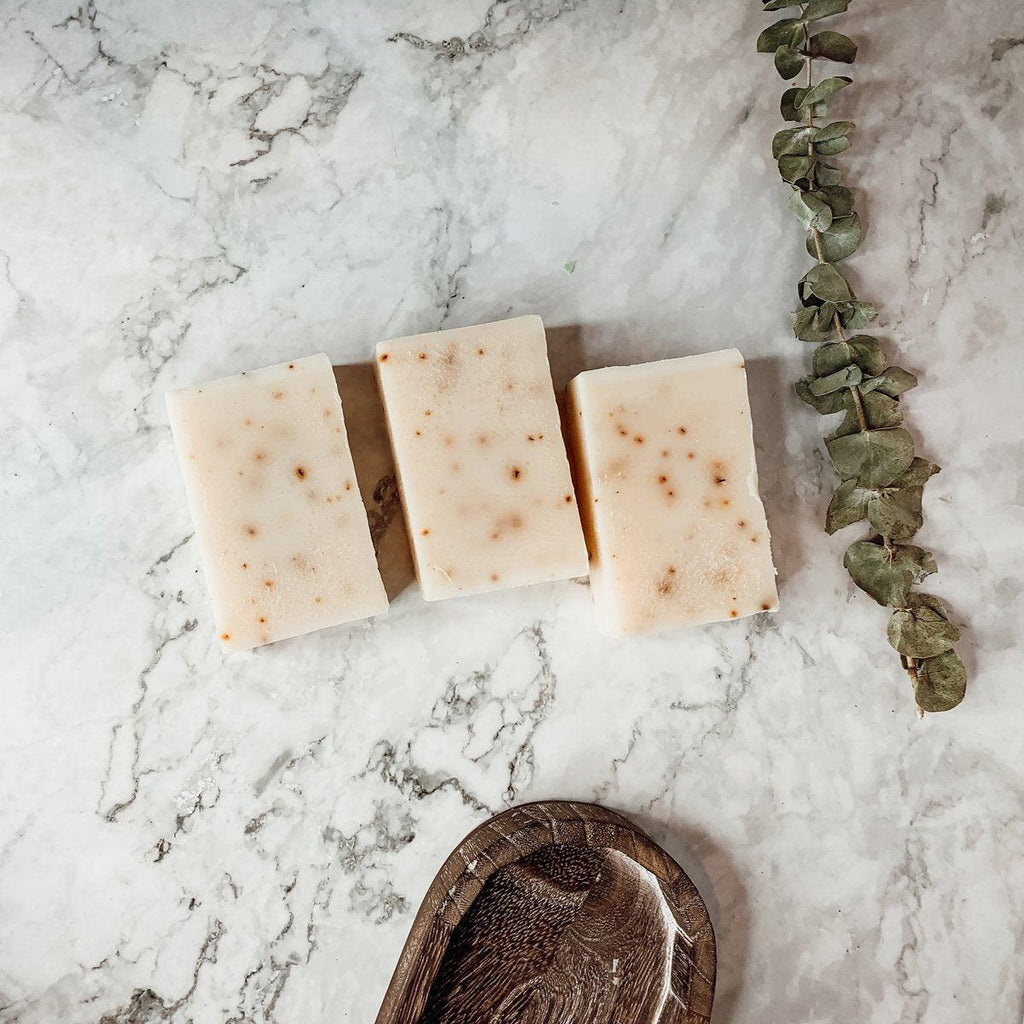 Aloe Eucalyptus Soap Bar