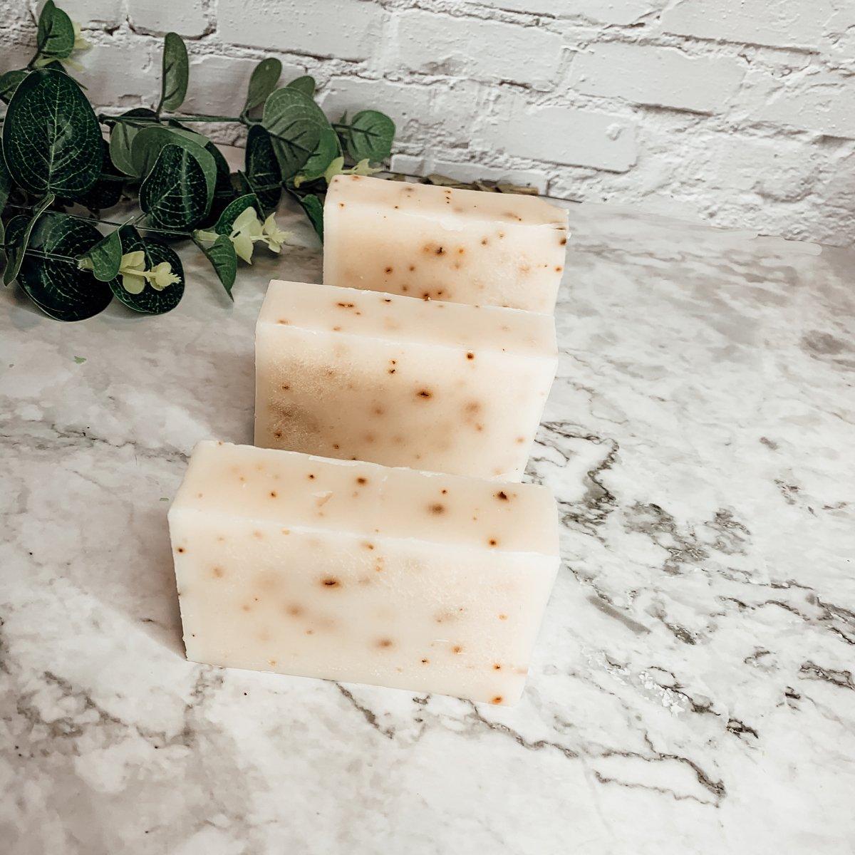Aloe Eucalyptus Soap Bar