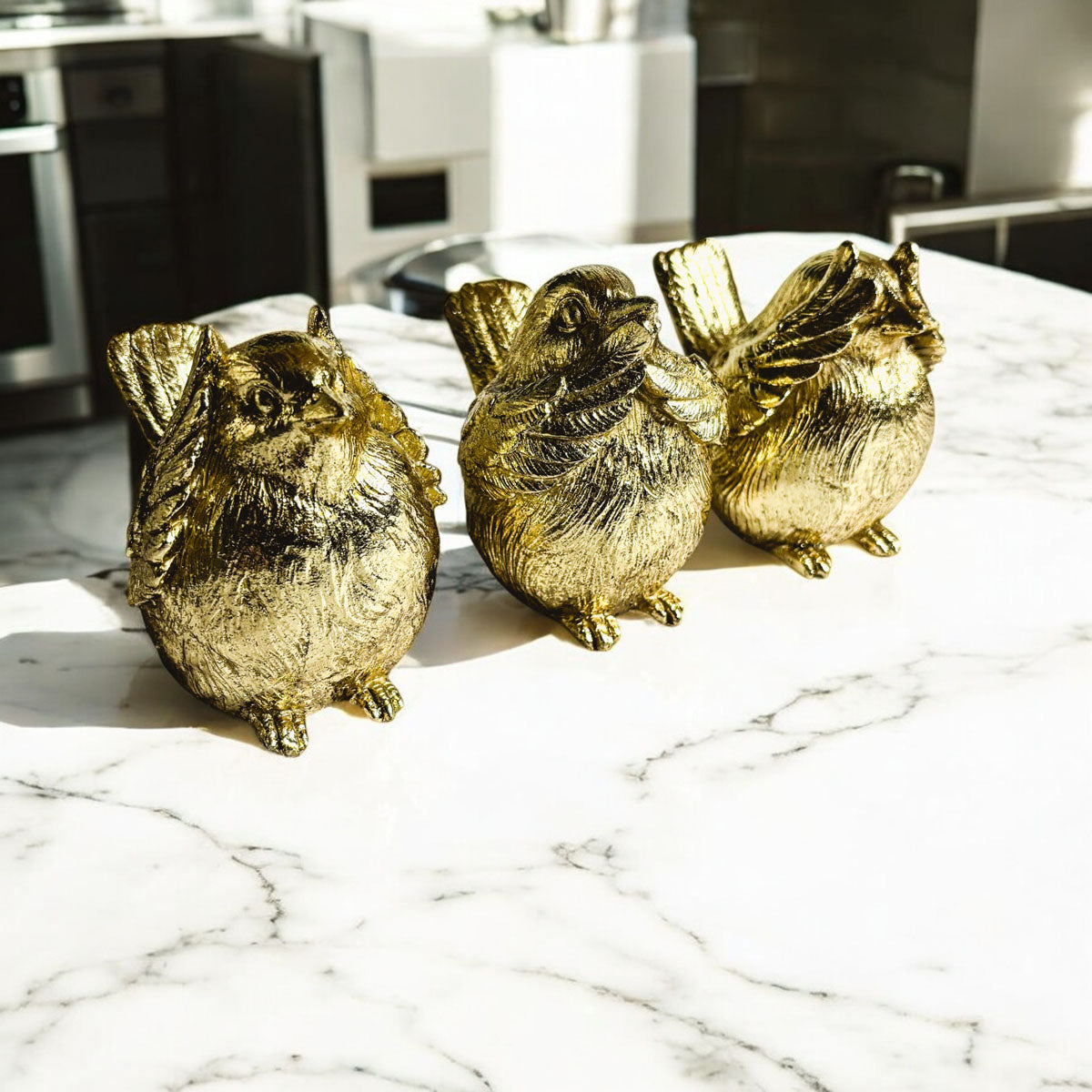 3 Wise Birds — Select Your Wisdom