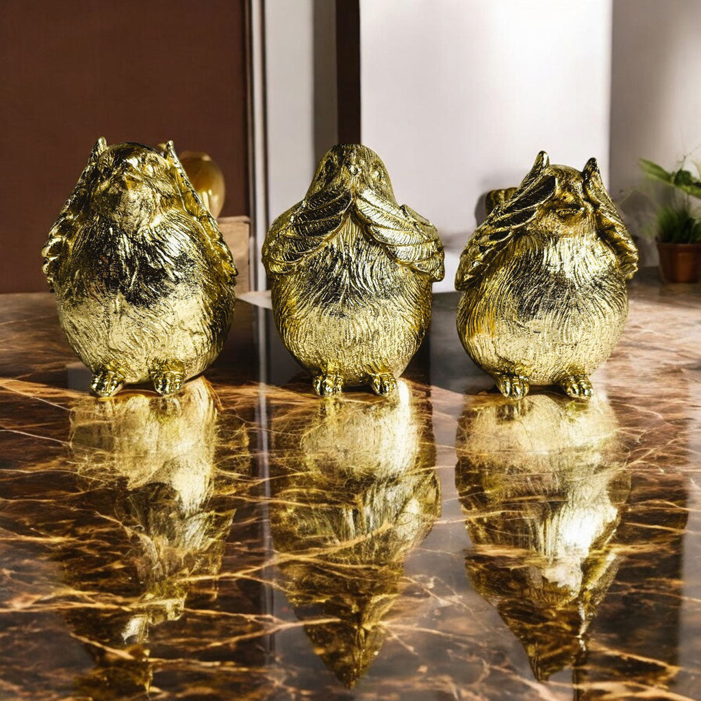 3 Wise Birds — Select Your Wisdom