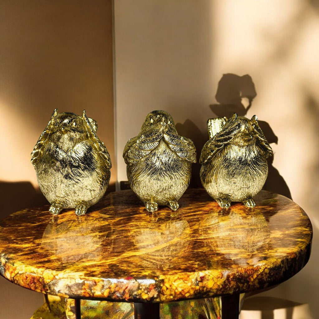 3 Wise Birds — Select Your Wisdom