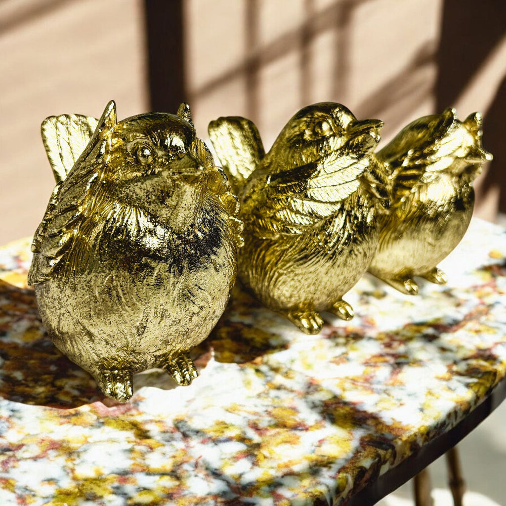 3 Wise Birds — Select Your Wisdom