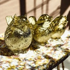 3 Wise Birds — Select Your Wisdom