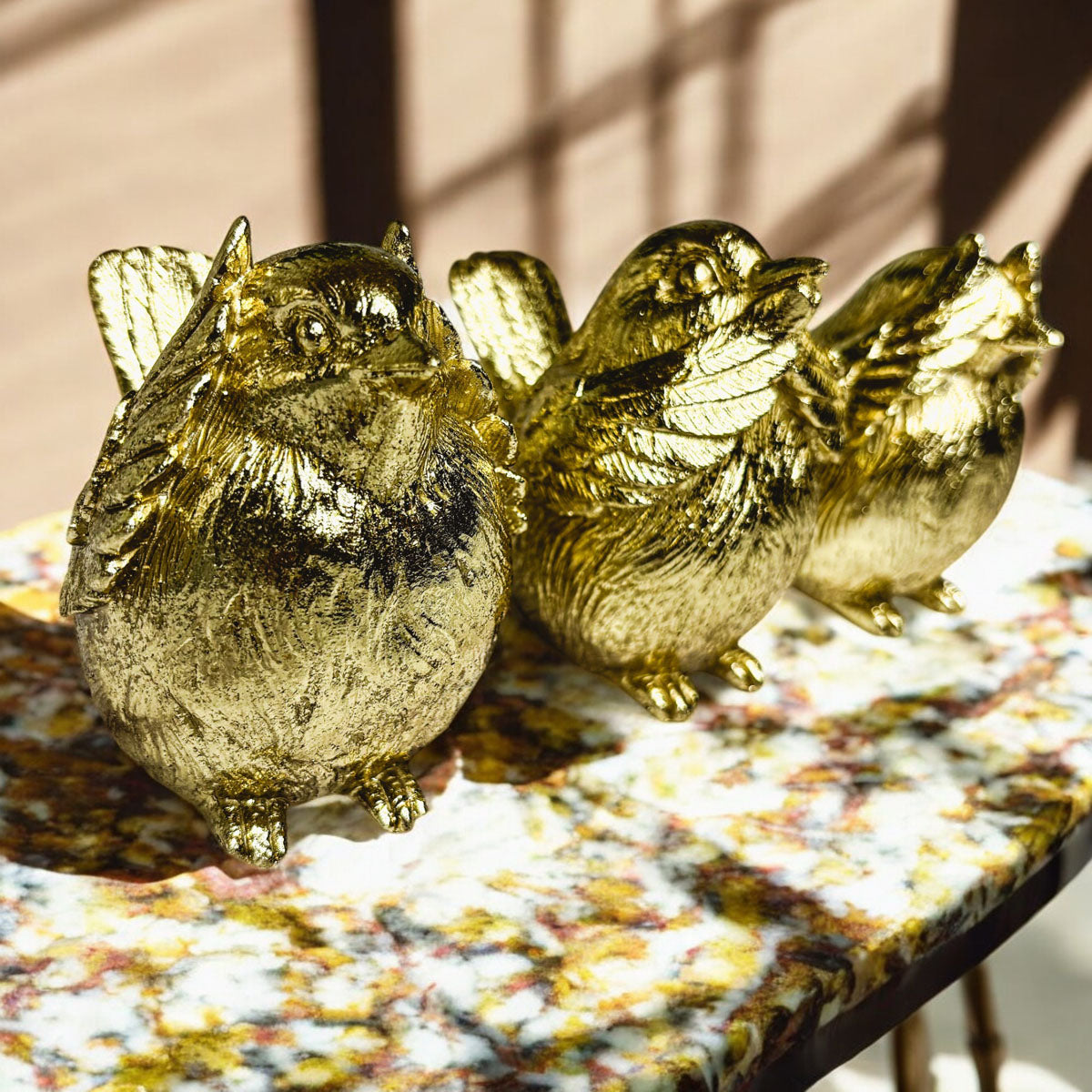 3 Wise Birds — Select Your Wisdom