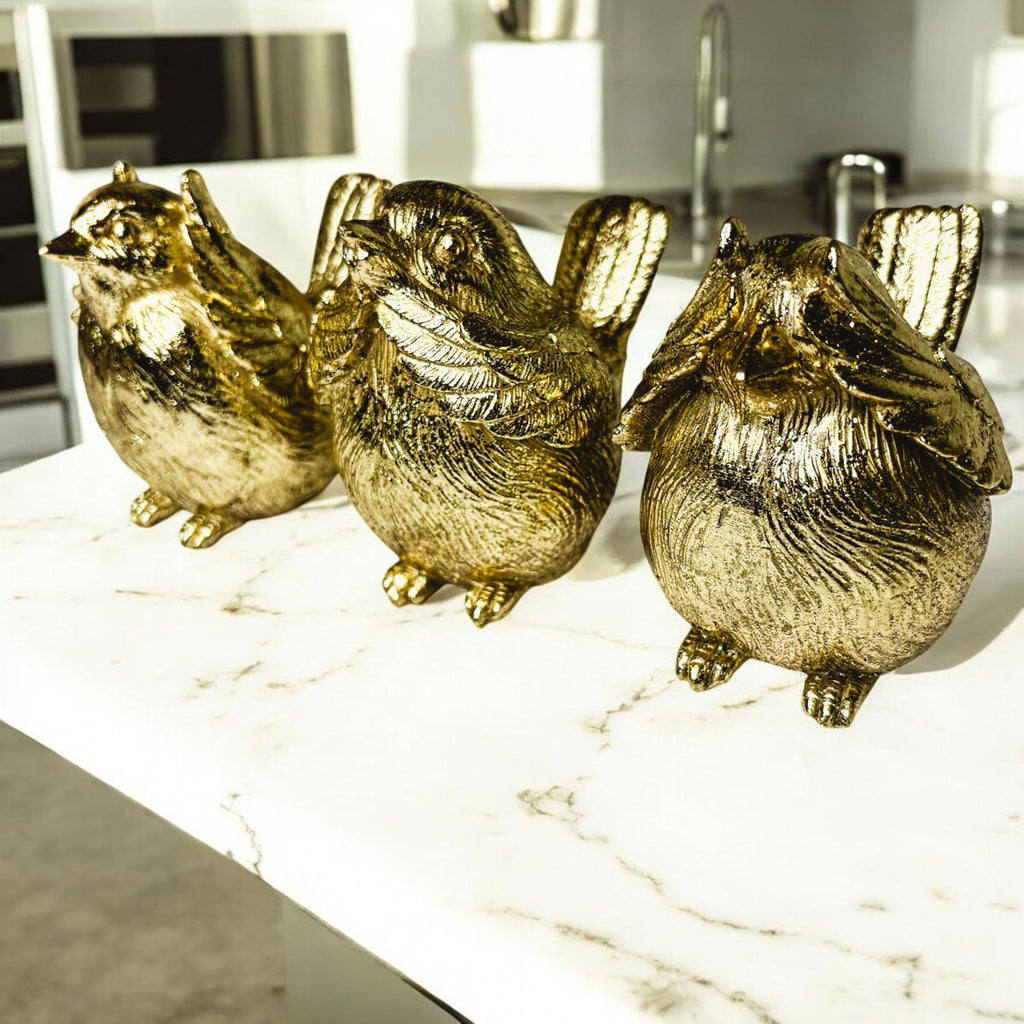 3 Wise Birds — Select Your Wisdom
