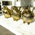 3 Wise Birds — Select Your Wisdom