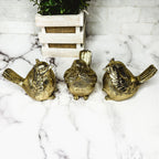3 Wise Birds — Select Your Wisdom