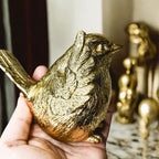 3 Wise Birds — Select Your Wisdom