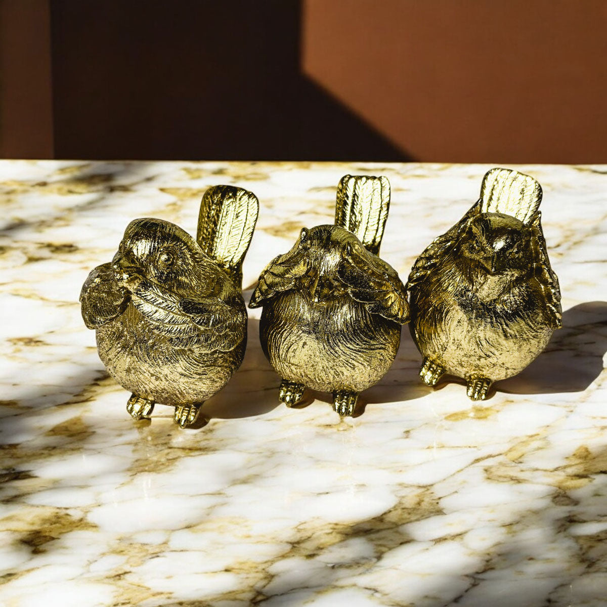 3 Wise Birds — Select Your Wisdom