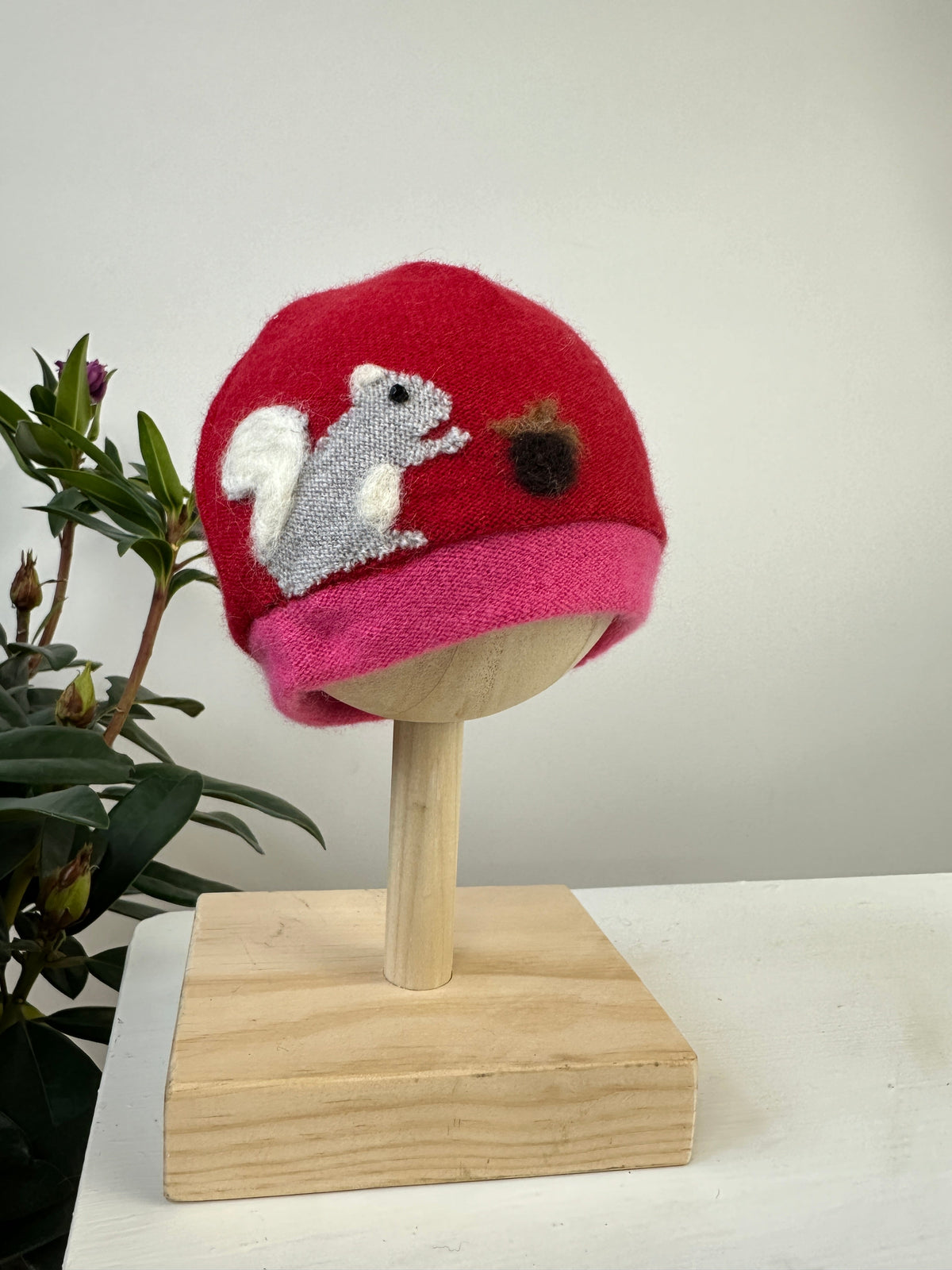 Squirrel Cashmere Hat - Newborn — Select Your Color