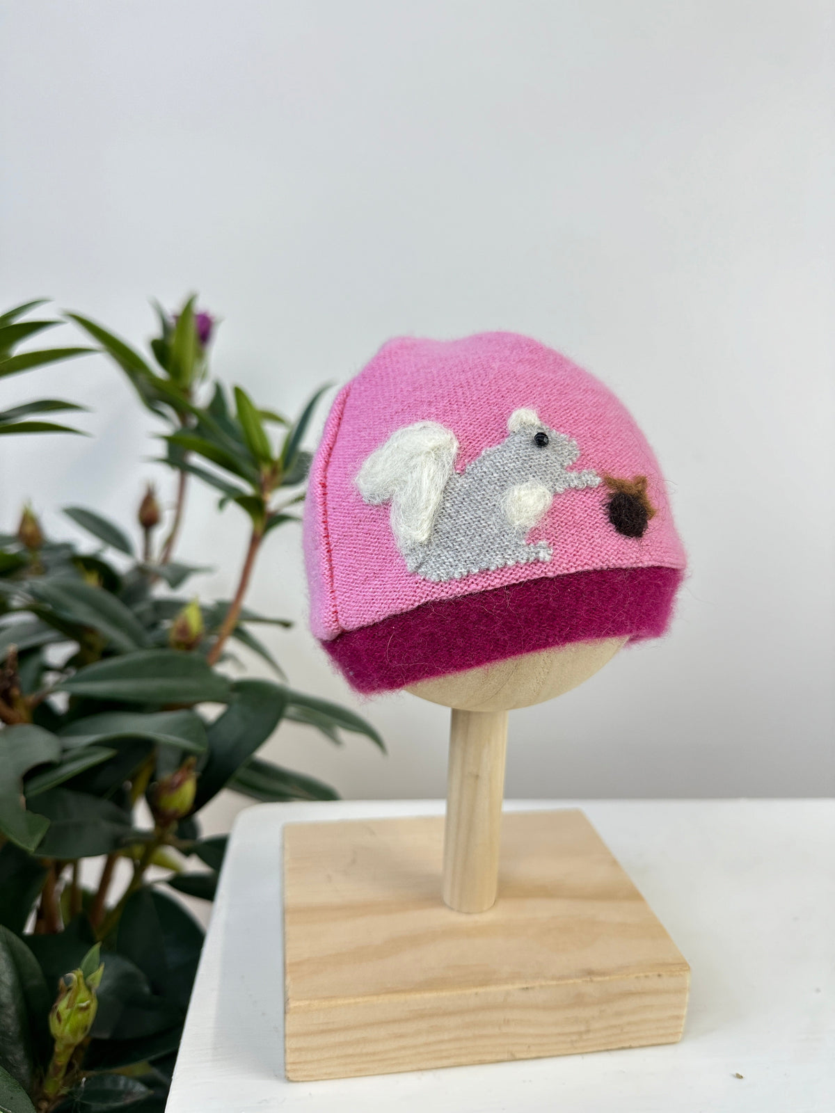 Squirrel Cashmere Hat - Newborn — Select Your Color