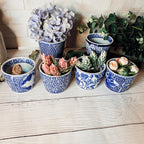Hand-Painted Porcelain Mini Blue & White Chinoiserie Cachepots— Select Your Design