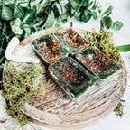 Cabin in the Woods XL Wax Melts — Select Your Label