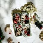 Cedar Berry XL Wax Melts — Select Your Label
