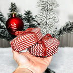 Candy Cane Coaster PRE-ORDER — Select Your Color