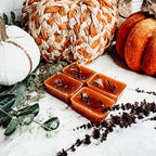 Fall Clove XL Wax Melts