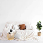 18" Square Amber & Farm Decorative Pillow and/or Cases Set — Select Your Design