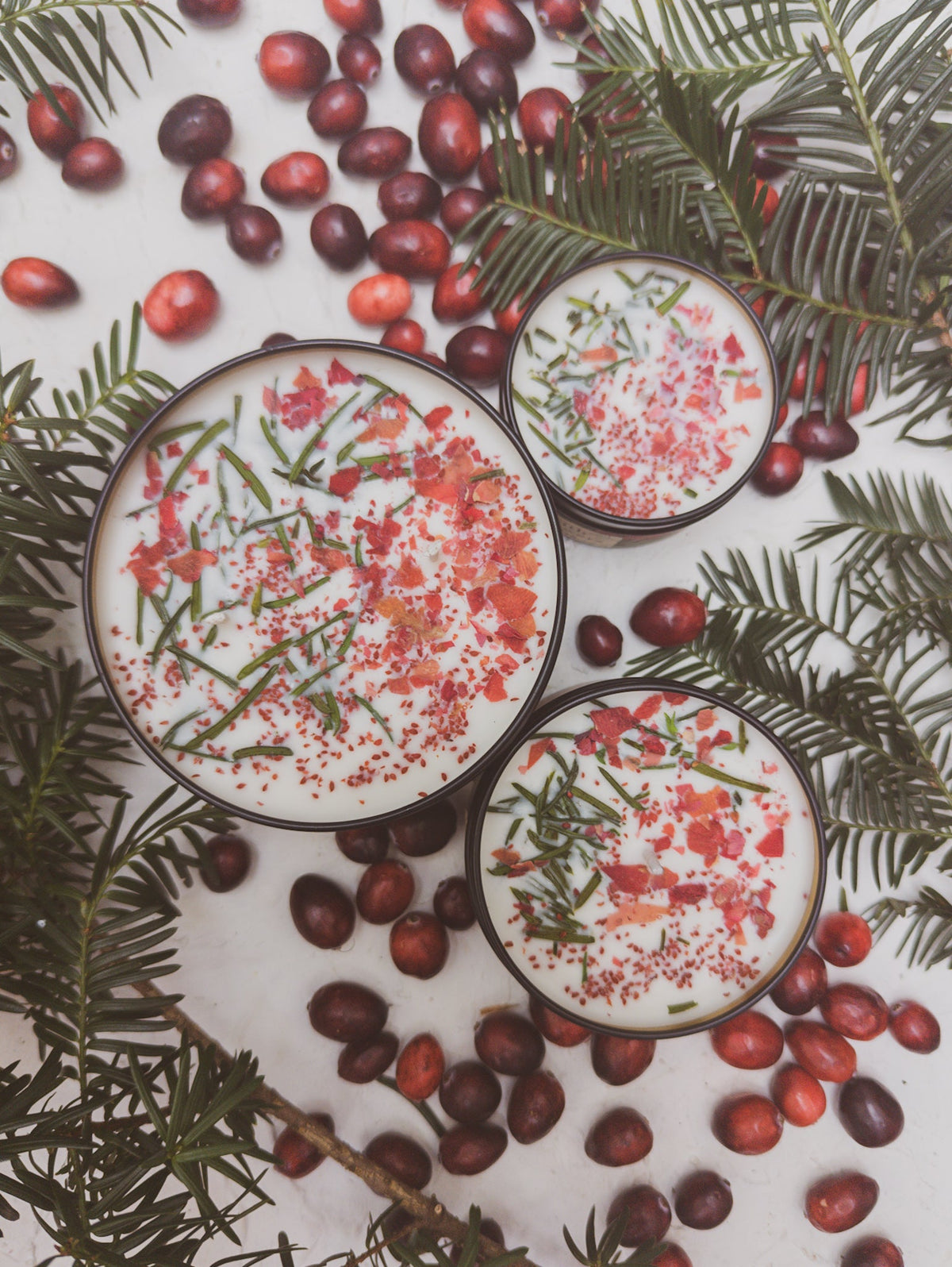 GATHER HERE Cranberry Pine Candle — Select Your Size