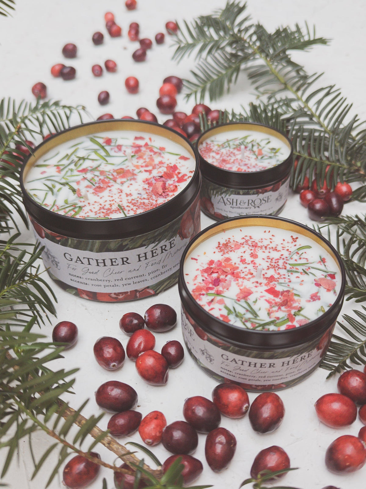 GATHER HERE Cranberry Pine Candle — Select Your Size