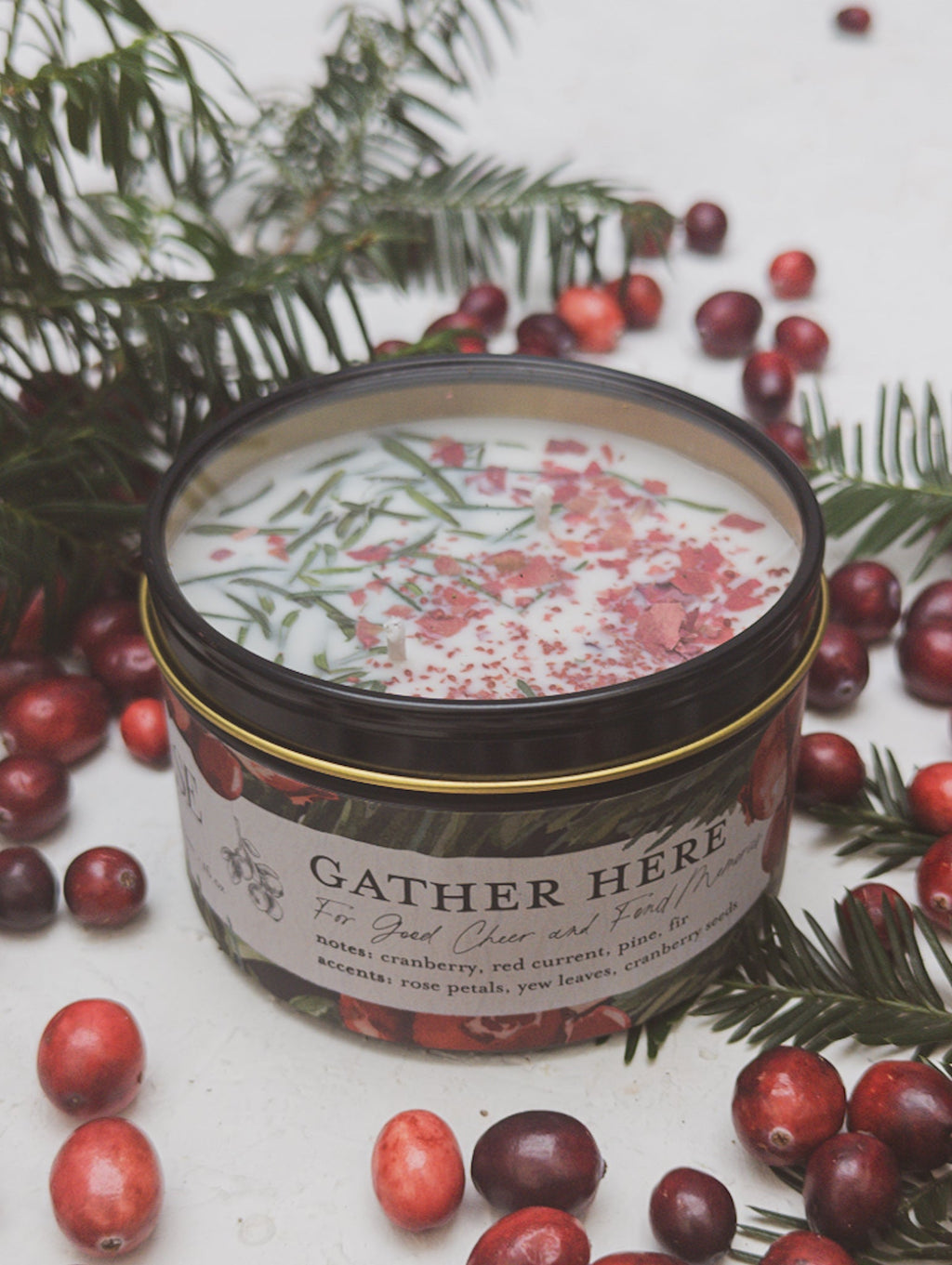 GATHER HERE Cranberry Pine Candle — Select Your Size