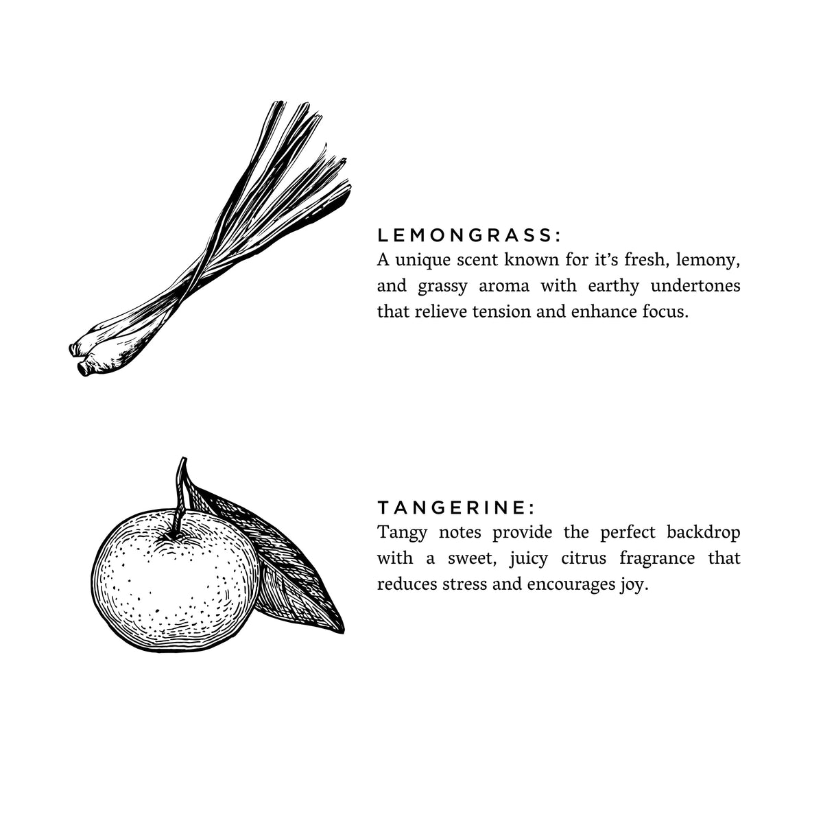 Lemongrass + Tangerine Candle