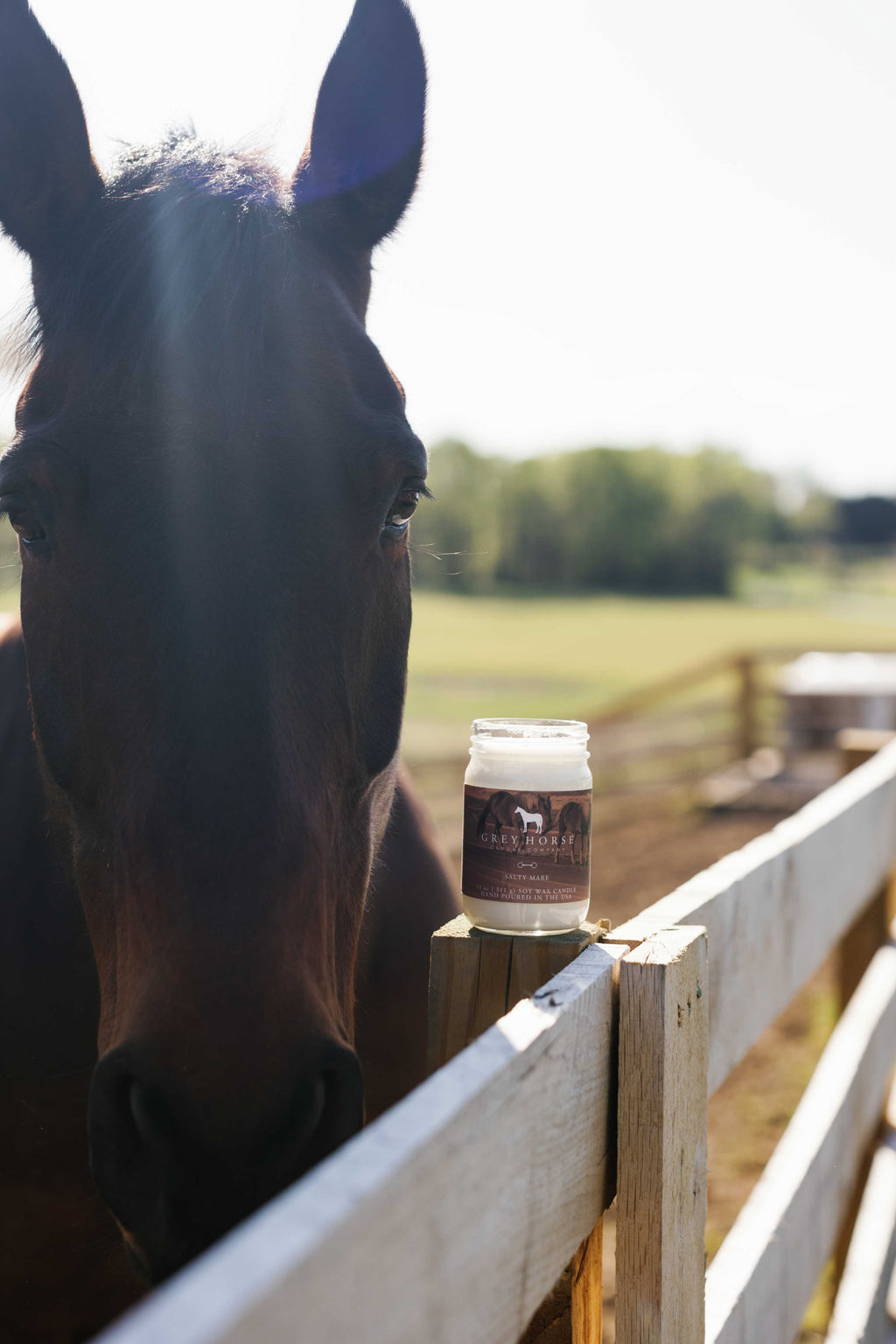 Salty Mare Signature Jar Candle